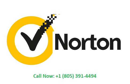 Norton Logo